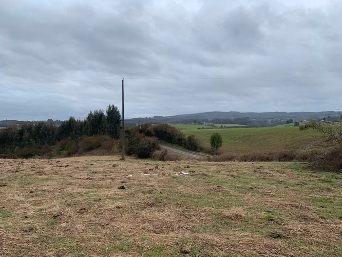 OPORTUNIDAD!! VENTA DE CAMPO 16,58 HA, PRECIO REBAJADO - Imagen 20