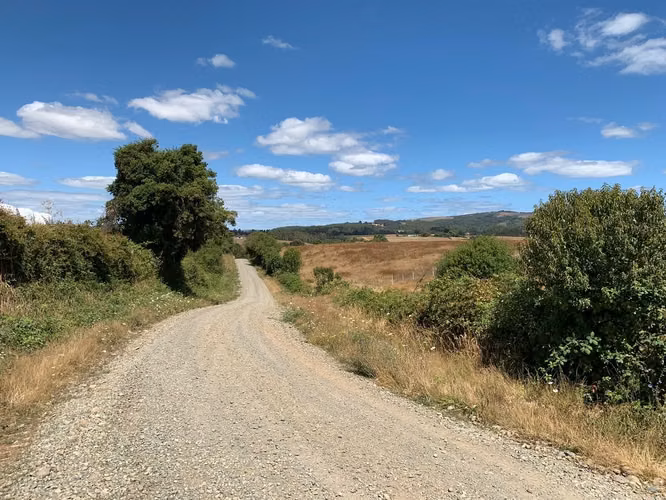 OPORTUNIDAD!! VENTA DE CAMPO 16,58 HA, PRECIO REBAJADO - Imagen 5