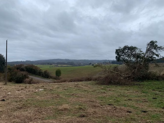 OPORTUNIDAD!! VENTA DE CAMPO 16,58 HA, PRECIO REBAJADO - Imagen 17