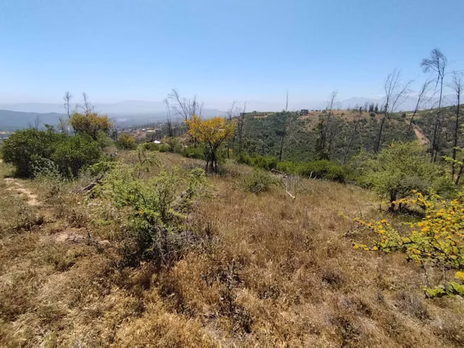 Parcela Verde Mar Sector Linzor (84801)