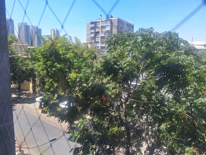 Huerfanos/Brasil (84991)