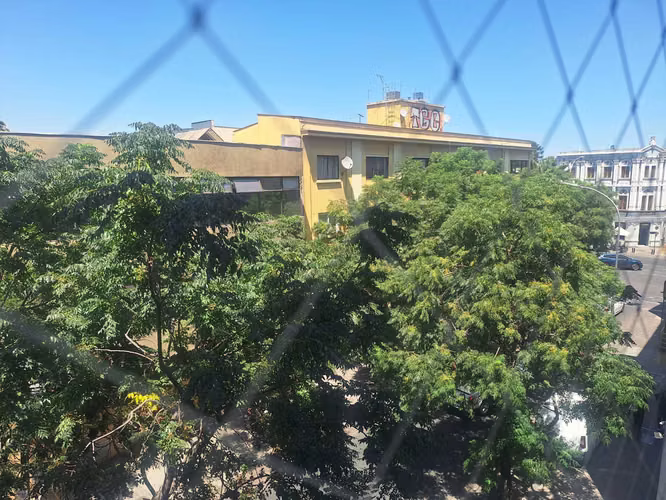Huerfanos/Brasil (84991)