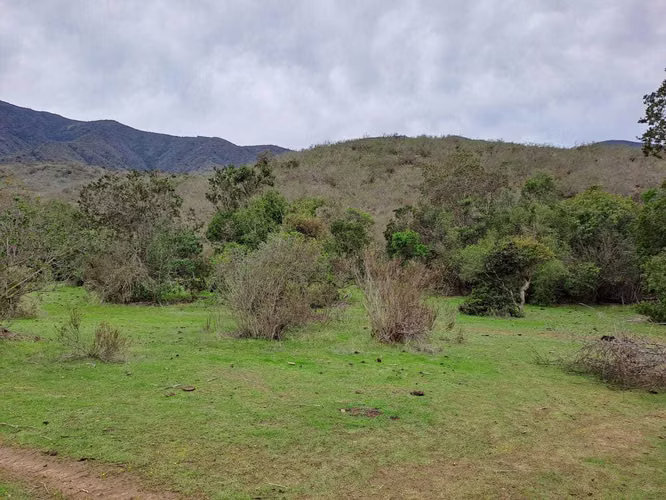 Terreno 3 hectáreas El Trapiche La Ligua (85586)