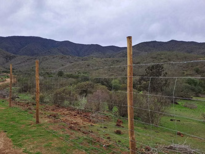 Terreno 3 hectáreas El Trapiche La Ligua (85586)