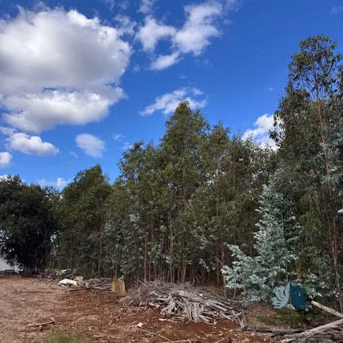 Venta de Parcelas a 5 Km de Collipulli (86262)