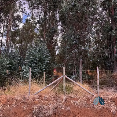 Venta de Parcelas a 5 Km de Collipulli (86262)