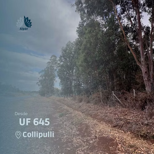 Venta de Parcelas a 5 Km de Collipulli (86262)