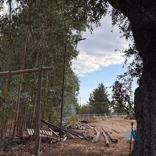 Venta de Parcelas a 5 Km de Collipulli (86262)