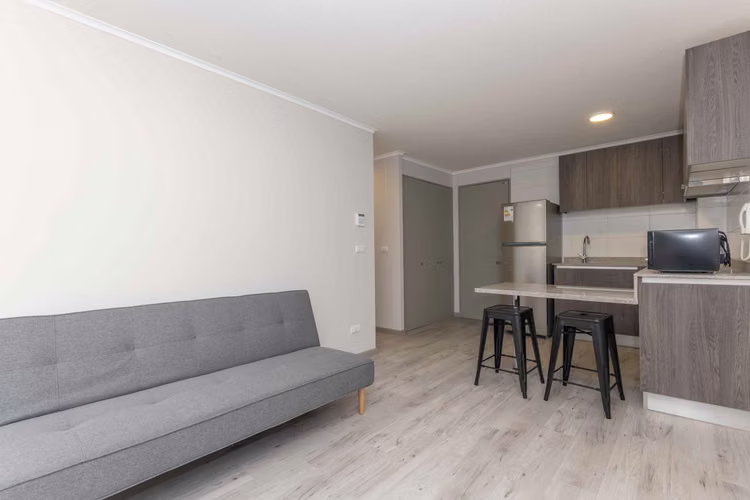Vicuña Urban [1322-18]