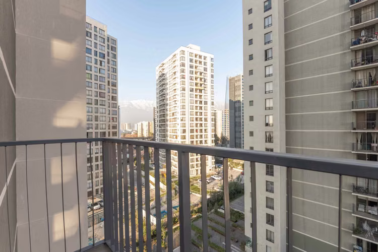 Vicuña Urban [1322-18]