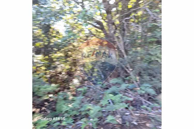 Venta parcela en colonia 3 puentes puerto varas