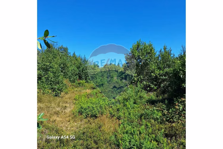 Venta parcela en colonia 3 puentes puerto varas