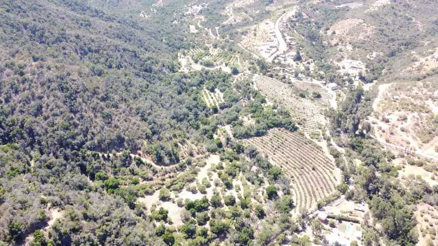 Fundo los coligues, Retuca (86362)