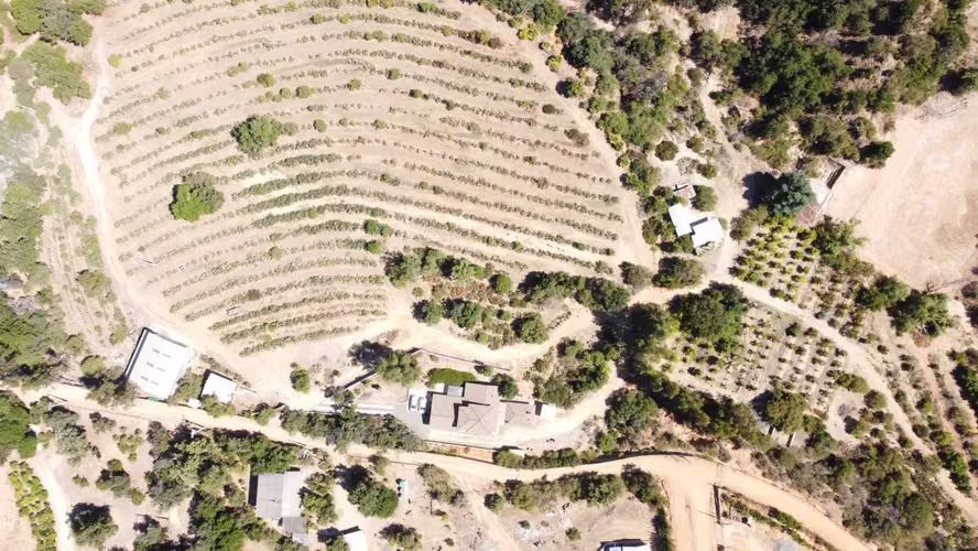 Fundo los coligues, Retuca (86362)