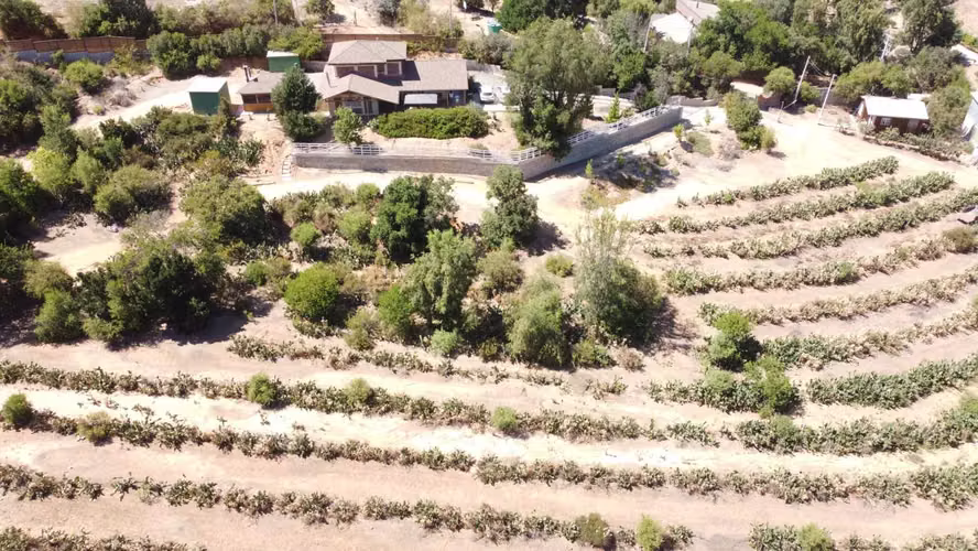 Fundo los coligues, Retuca (86362)