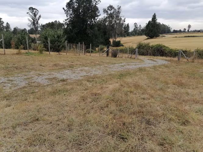 Vendo parcelas entre Pitrufquen y Villarrica