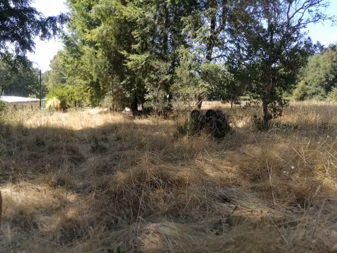 vendo parcela en Villarrica con cabaña construcción solida