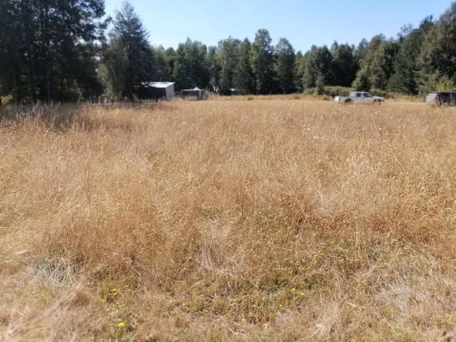 vendo parcela en Villarrica con cabaña construcción solida