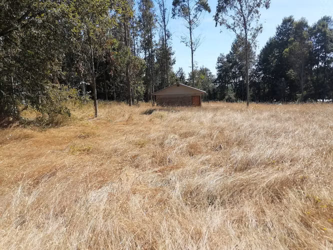 vendo parcela en Villarrica con cabaña construcción solida