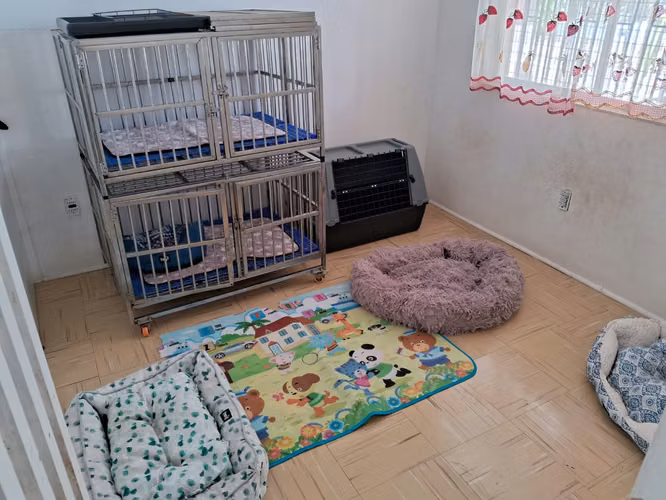 Se Vende Casa Palomar