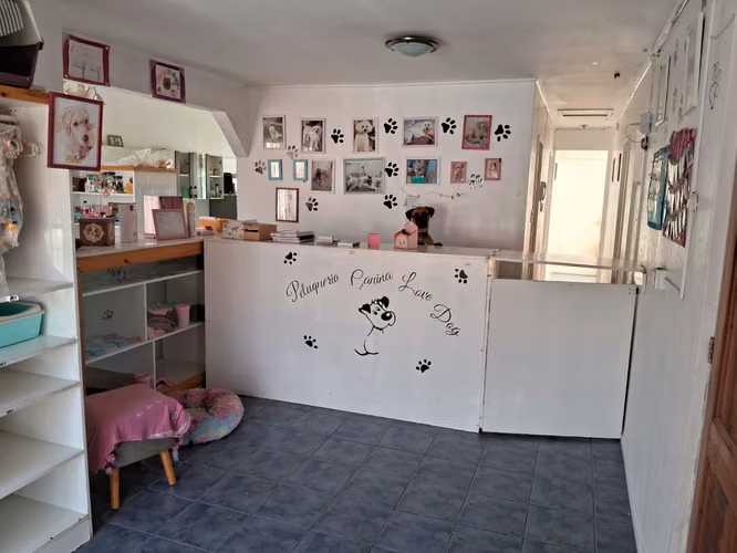 Se Vende Casa Palomar