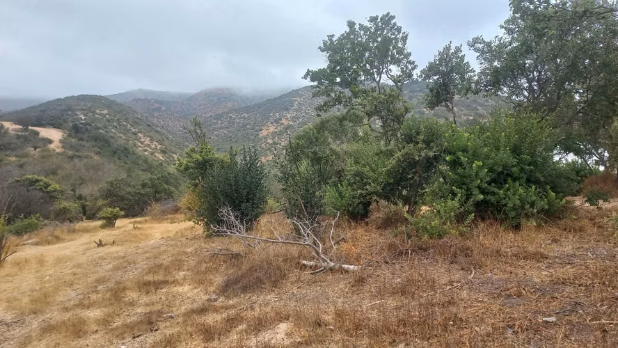 Vendo parcela en Fundo El Rincón de Peñablanca.