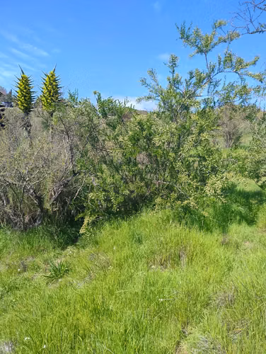 Parcela Limache 5.000 mts  Condominio Hacienda De Limache