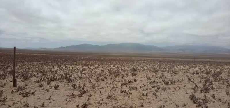 Sitio LLANO DE LOS CHOROS