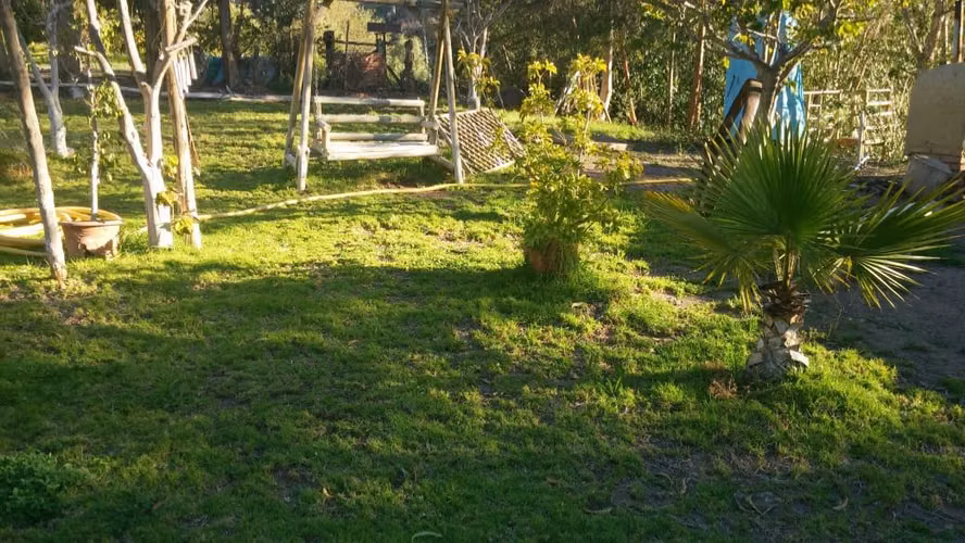 Cabañas, con piscina, tinaja, Vicuña (88008)