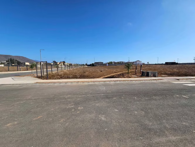 Venta De Sitio En Nueva Umbrales  (88133)
