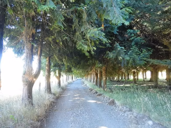 AGRICOLA Localidad de Malalhue