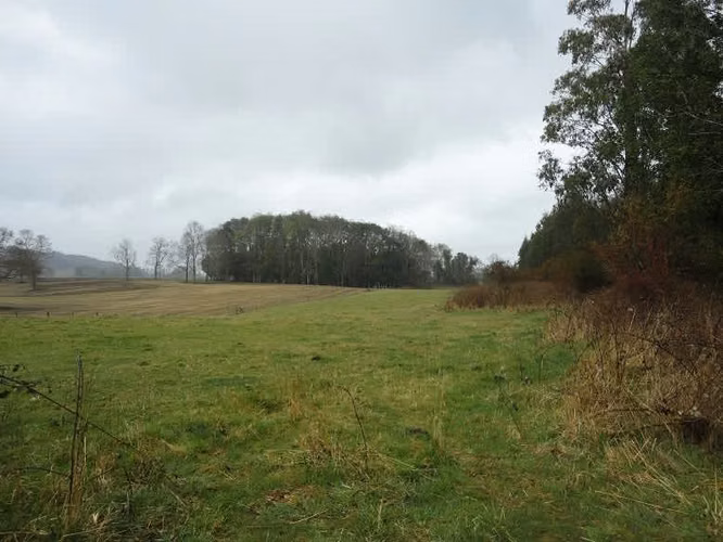 AGRICOLA Localidad de Malalhue