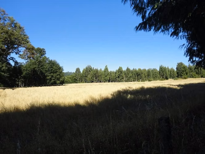 AGRICOLA Localidad de Malalhue
