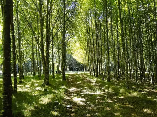 AGRICOLA Localidad de Malalhue