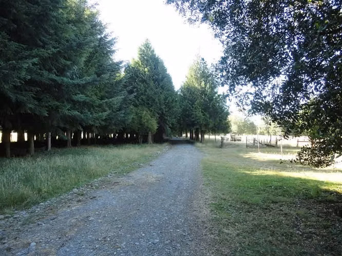 AGRICOLA Localidad de Malalhue