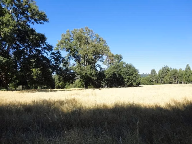 AGRICOLA Localidad de Malalhue