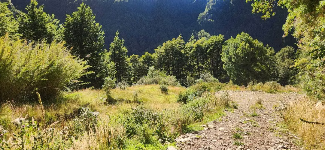 Hermosa propiedad Río Quetro Aysén (88470)