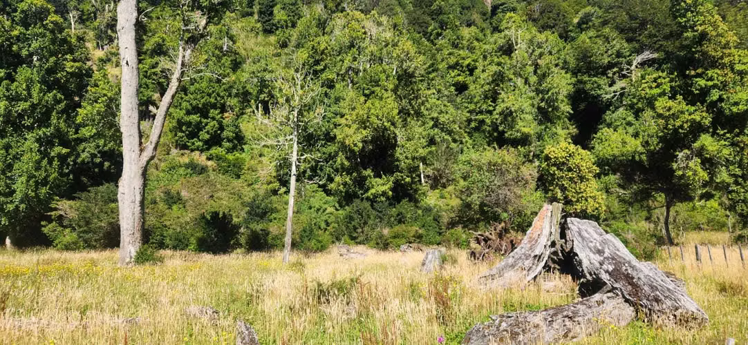 Hermosa propiedad Río Quetro Aysén (88470)