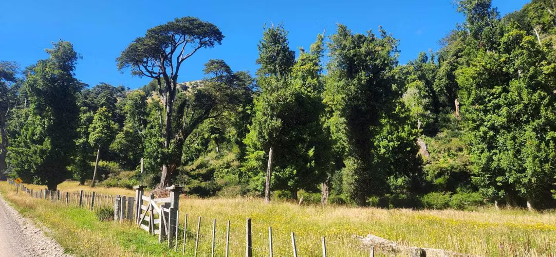 Hermosa propiedad Río Quetro Aysén (88470)