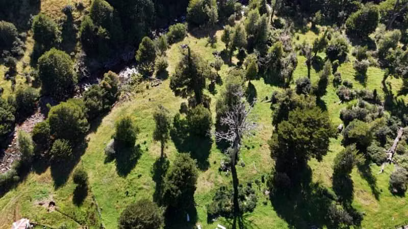 Hermosa propiedad Río Quetro Aysén (88470)