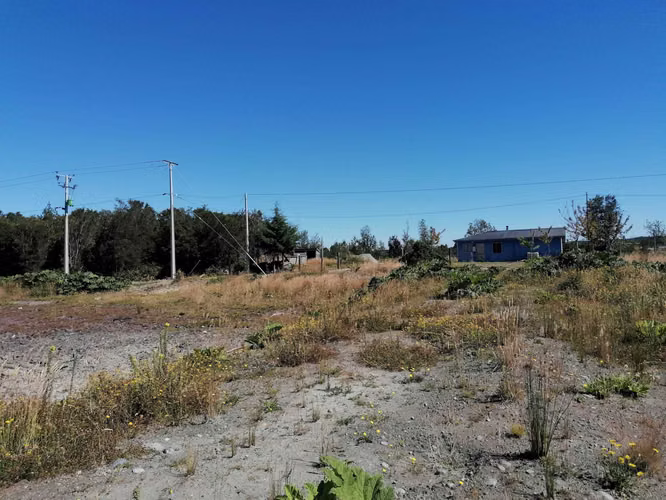 PARCELA EN PELLUCO ALTO (75203)