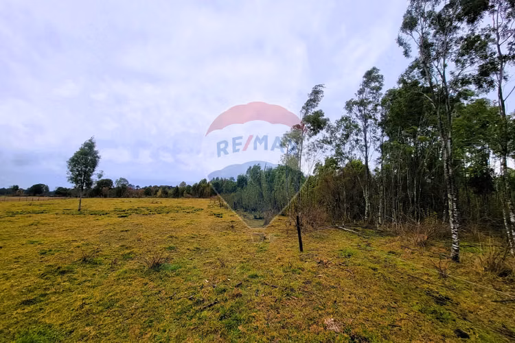 Venta 5,21 hà planas en fresia, la coihuería