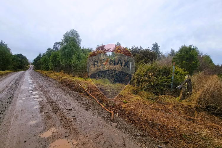 Venta 5,21 hà planas en fresia, la coihuería
