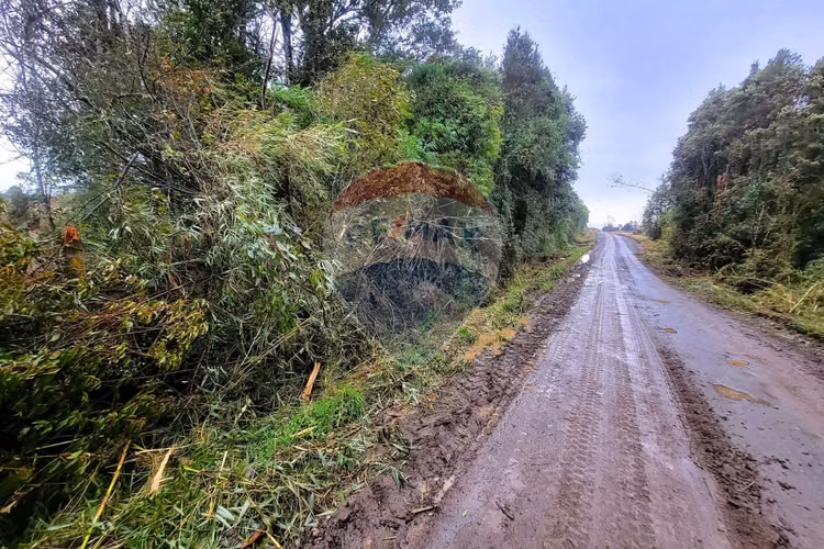 Venta 5,21 hà planas en fresia, la coihuería