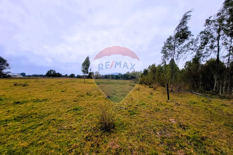 Venta 5,21 hà planas en fresia, la coihuería