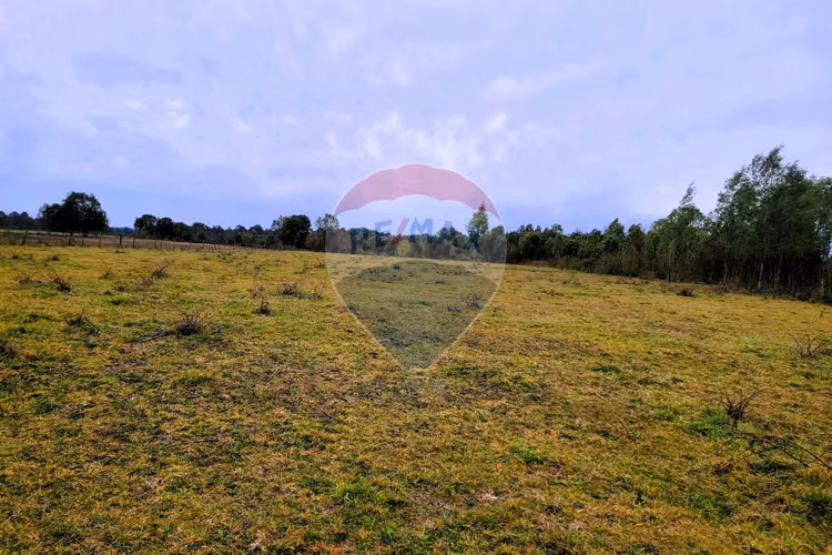 Venta 5,21 hà planas en fresia, la coihuería