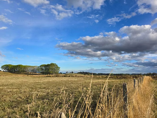 Espectaculares parcelas en venta Llanquihue (89477)