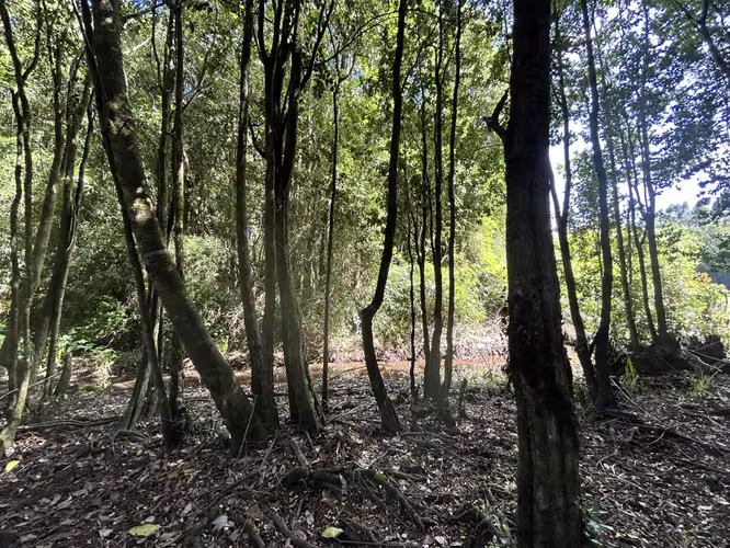¡Oportunidad! Vendo hermoso terreno al lado de la ruta 5 Sur altura Mafil .