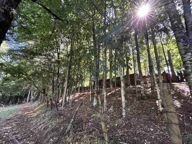 ¡Oportunidad! Vendo hermoso terreno al lado de la ruta 5 Sur altura Mafil .