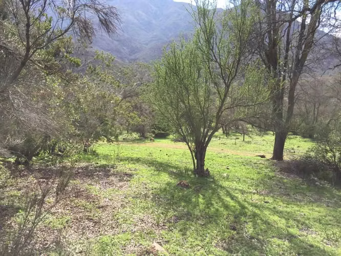 FUNDO COLLIGUAY, 43.28 HA, CASA Y PISCINA (89627)